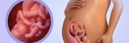 Tìm hiểu thai chậm phát triển trong tử cung